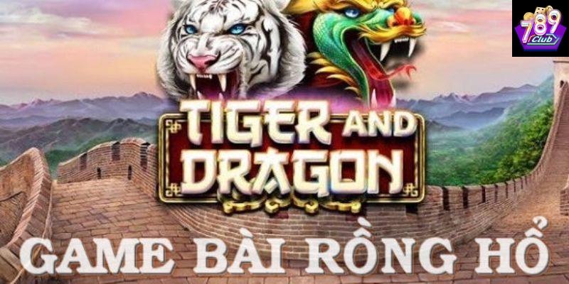 Cách đặt cược rồng hổ hiệu quả