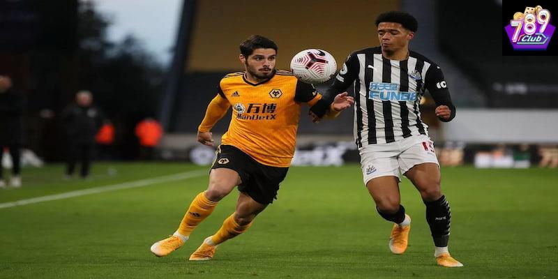 Newcastle vs Wolves Dự đoán kết quả trận Newcastle vs Wolves