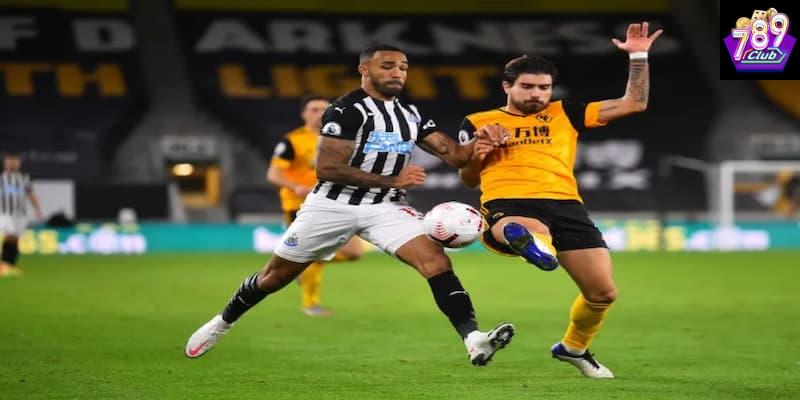Newcastle vs Wolves Những lưu ý khi cá cược trận Newcastle vs Wolves