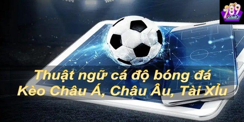 Thuật ngữ cá độ bóng đá nâng cao